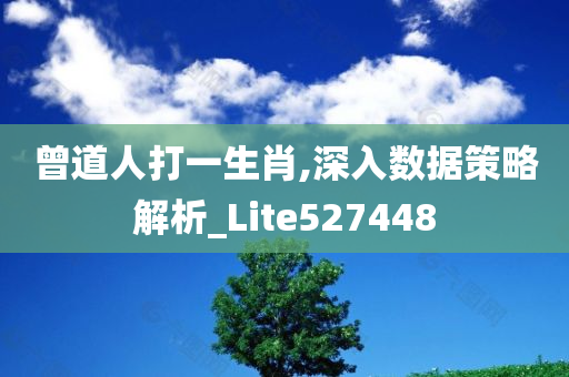 曾道人打一生肖,深入数据策略解析_Lite527448