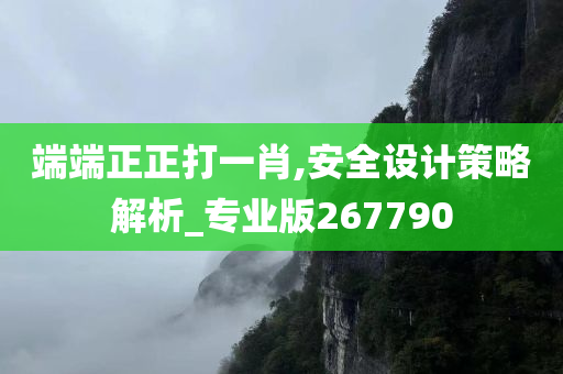 端端正正打一肖,安全设计策略解析_专业版267790