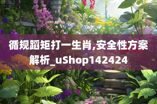 循规蹈矩打一生肖,安全性方案解析_uShop142424