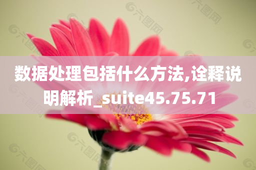 数据处理包括什么方法,诠释说明解析_suite45.75.71