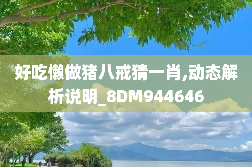 好吃懒做猪八戒猜一肖,动态解析说明_8DM944646