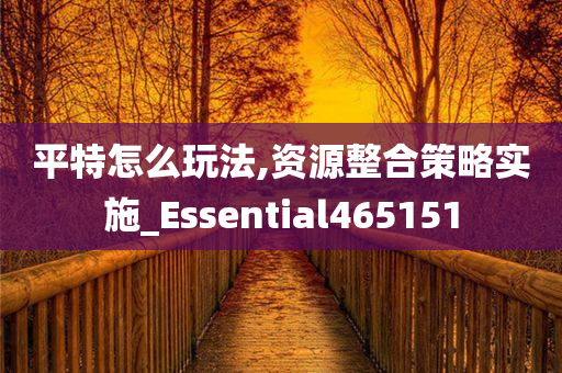 平特怎么玩法,资源整合策略实施_Essential465151