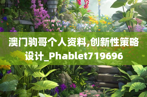 澳门驹哥个人资料,创新性策略设计_Phablet719696