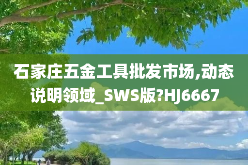 石家庄五金工具批发市场,动态说明领域_SWS版?HJ6667