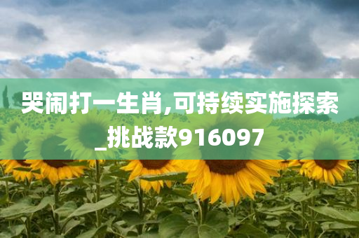 哭闹打一生肖,可持续实施探索_挑战款916097