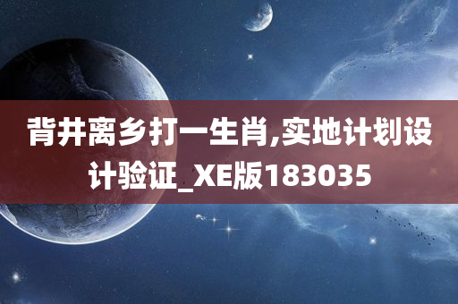 背井离乡打一生肖,实地计划设计验证_XE版183035