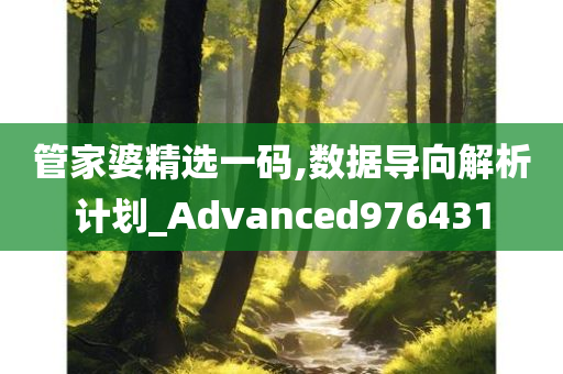 管家婆精选一码,数据导向解析计划_Advanced976431