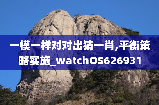 一模一样对对出猜一肖,平衡策略实施_watchOS626931