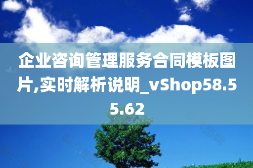 企业咨询管理服务合同模板图片,实时解析说明_vShop58.55.62