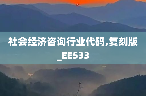 社会经济咨询行业代码,复刻版_EE533