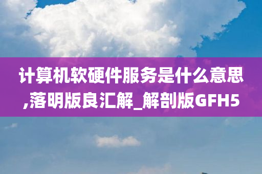 计算机软硬件服务是什么意思,落明版良汇解_解剖版GFH5