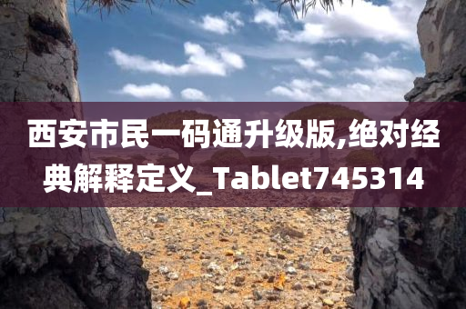 西安市民一码通升级版,绝对经典解释定义_Tablet745314