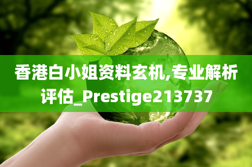 香港白小姐资料玄机,专业解析评估_Prestige213737