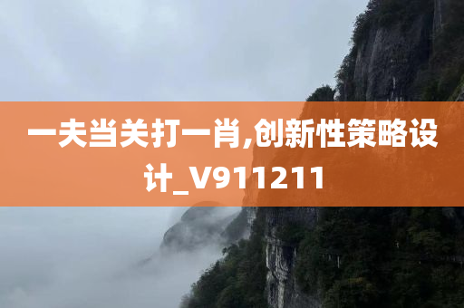 一夫当关打一肖,创新性策略设计_V911211