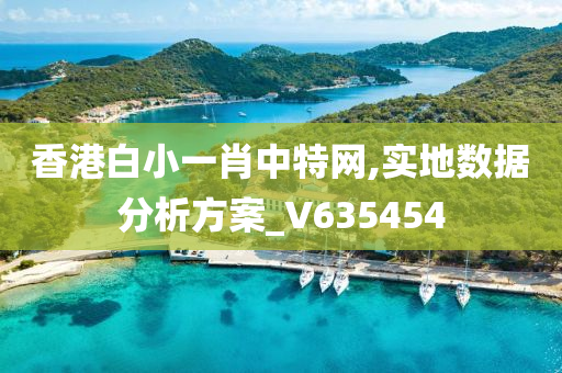 香港白小一肖中特网,实地数据分析方案_V635454