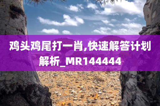 鸡头鸡尾打一肖,快速解答计划解析_MR144444