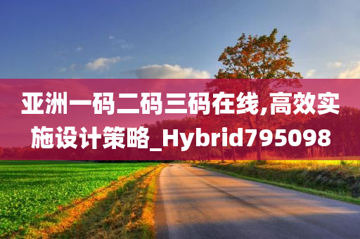 亚洲一码二码三码在线,高效实施设计策略_Hybrid795098