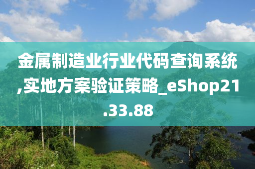 金属制造业行业代码查询系统,实地方案验证策略_eShop21.33.88