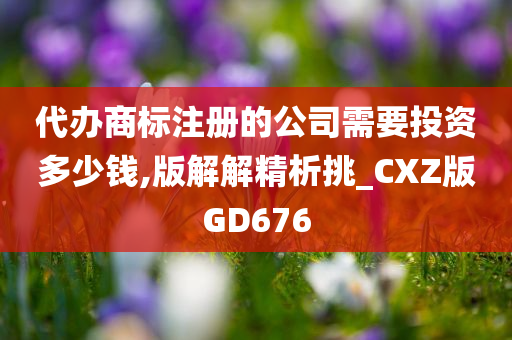 代办商标注册的公司需要投资多少钱,版解解精析挑_CXZ版GD676