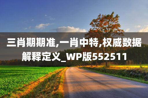 三肖期期准,一肖中特,权威数据解释定义_WP版552511