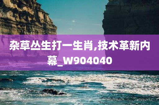 杂草丛生打一生肖,技术革新内幕_W904040