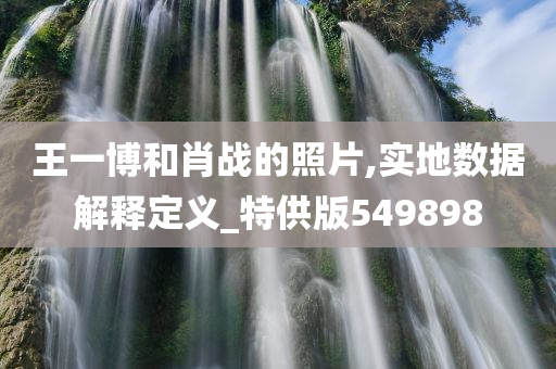 王一博和肖战的照片,实地数据解释定义_特供版549898