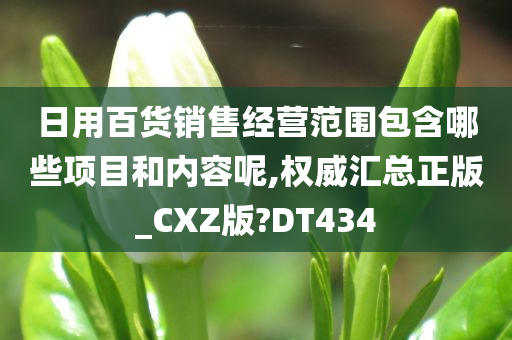 日用百货销售经营范围包含哪些项目和内容呢,权威汇总正版_CXZ版?DT434