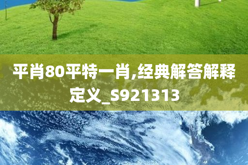 平肖80平特一肖,经典解答解释定义_S921313