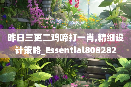 昨日三更二鸡啼打一肖,精细设计策略_Essential808282