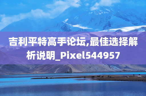 吉利平特高手论坛,最佳选择解析说明_Pixel544957