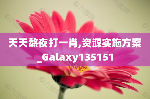 天天熬夜打一肖,资源实施方案_Galaxy135151