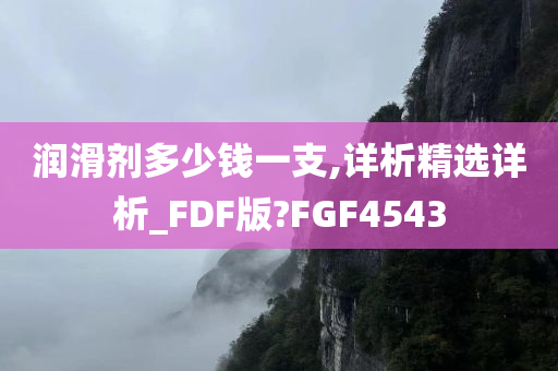 润滑剂多少钱一支,详析精选详析_FDF版?FGF4543