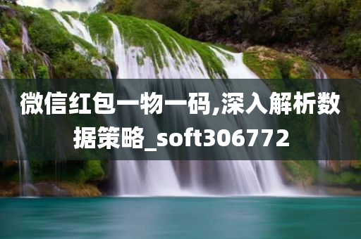 微信红包一物一码,深入解析数据策略_soft306772