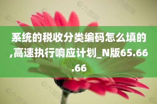 系统的税收分类编码怎么填的,高速执行响应计划_N版65.66.66