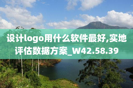 设计logo用什么软件最好,实地评估数据方案_W42.58.39