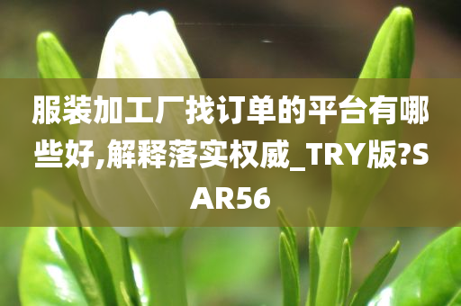 服装加工厂找订单的平台有哪些好,解释落实权威_TRY版?SAR56