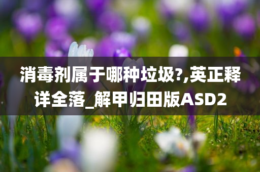 消毒剂属于哪种垃圾?,英正释详全落_解甲归田版ASD2