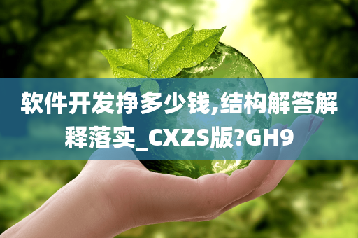 软件开发挣多少钱,结构解答解释落实_CXZS版?GH9