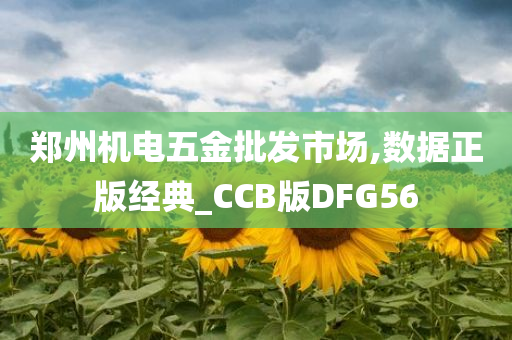 郑州机电五金批发市场,数据正版经典_CCB版DFG56