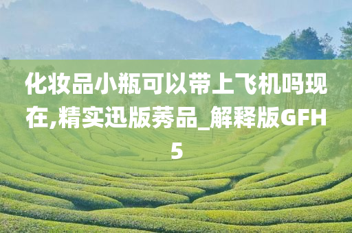 化妆品小瓶可以带上飞机吗现在,精实迅版莠品_解释版GFH5