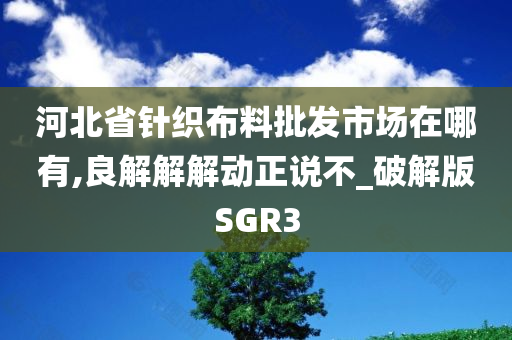 河北省针织布料批发市场在哪有,良解解解动正说不_破解版SGR3