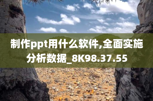 制作ppt用什么软件,全面实施分析数据_8K98.37.55