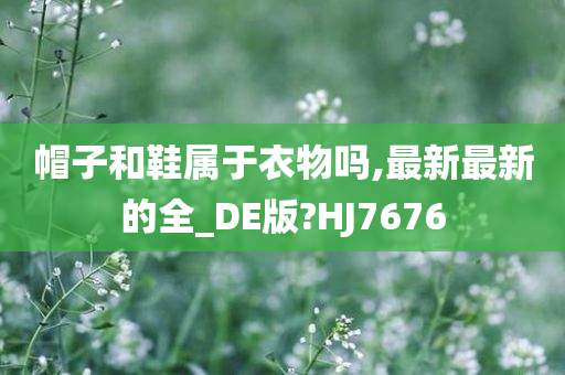 帽子和鞋属于衣物吗,最新最新的全_DE版?HJ7676