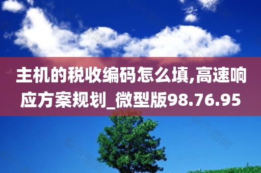 主机的税收编码怎么填,高速响应方案规划_微型版98.76.95