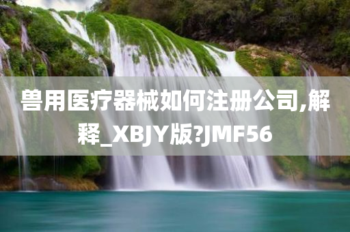 兽用医疗器械如何注册公司,解释_XBJY版?JMF56