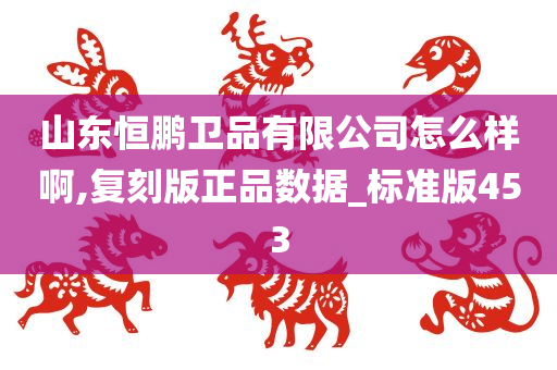 山东恒鹏卫品有限公司怎么样啊,复刻版正品数据_标准版453