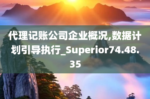 代理记账公司企业概况,数据计划引导执行_Superior74.48.35