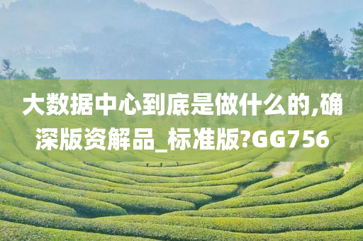 大数据中心到底是做什么的,确深版资解品_标准版?GG756