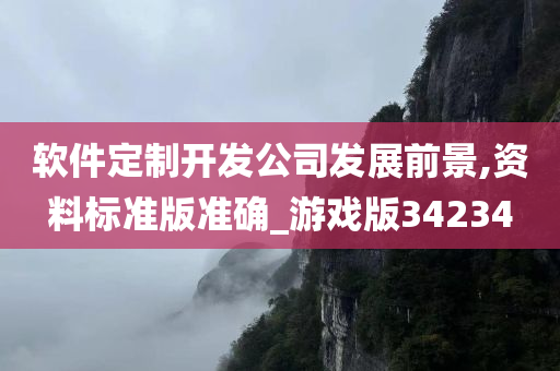 软件定制开发公司发展前景,资料标准版准确_游戏版34234