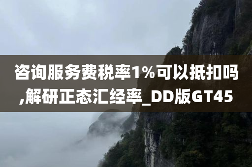 咨询服务费税率1%可以抵扣吗,解研正态汇经率_DD版GT45